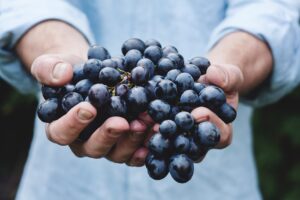 Photo Wine pairing