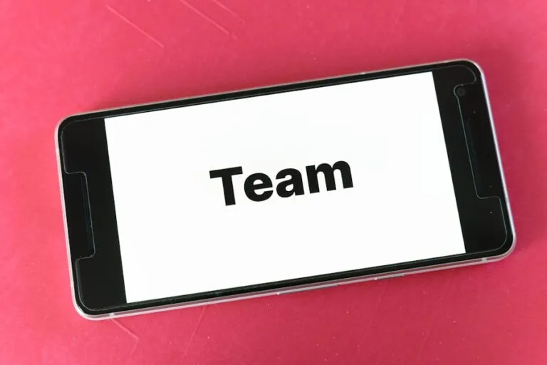 Photo "How to efficiently delegate tasks in your team for optimal results"