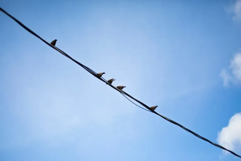Photo "How to influence your teams decisions through positive leadership"