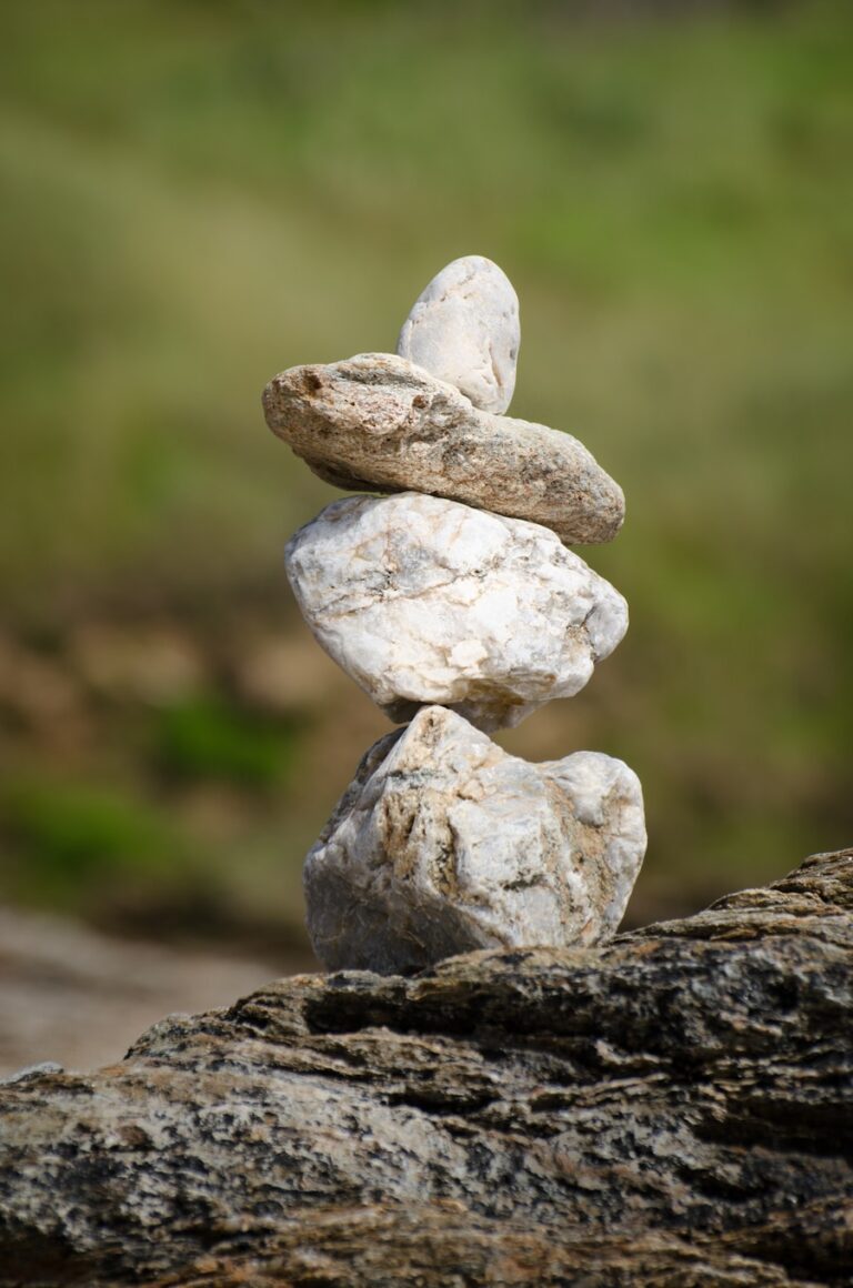 Photo "How to find a balance between leadership and management in business"