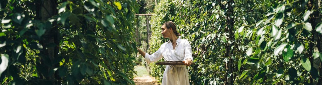 Vrei să lucrezi în domeniul agriculturii? Iată 3 oportunități pentru tine