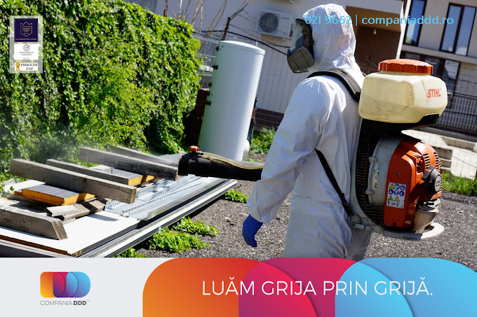 Diferența între deratizare, dezinsecție și dezinfectie în blocuri