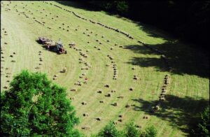 Culturi Secundare si Verzi ALDEMO – Solutia pentru un Sol Sanatos si o Ferma Rentabila