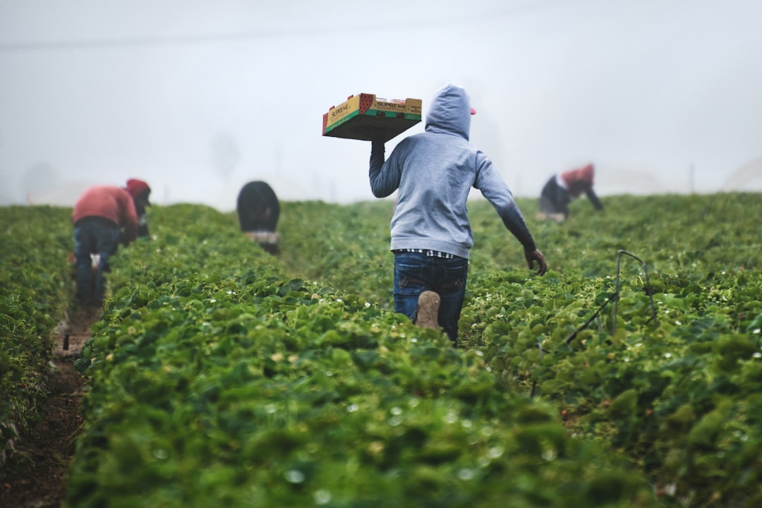 Photo sustainable productivity