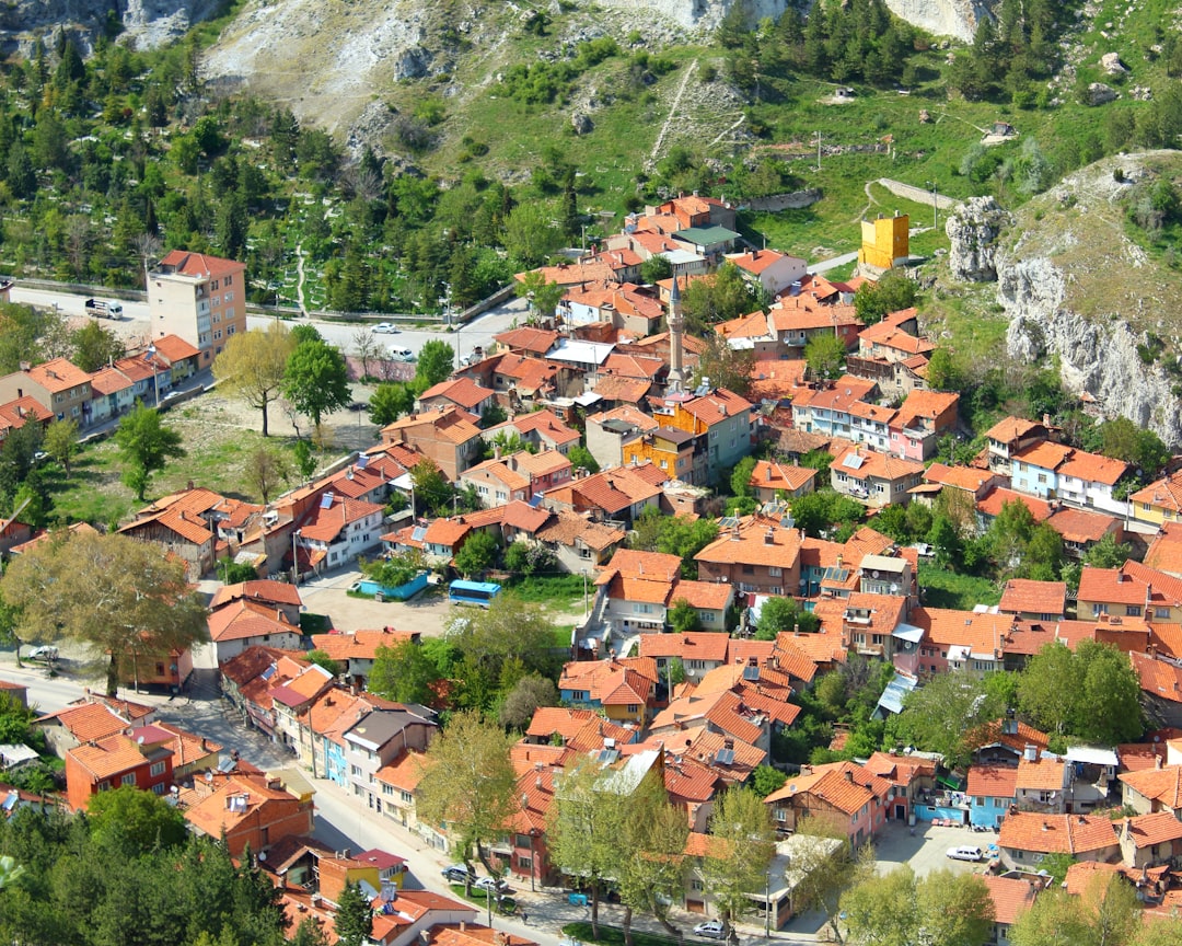 Photo delegarea sarcinilor