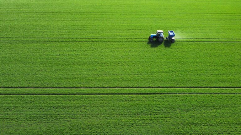 Photo sustainable productivity
