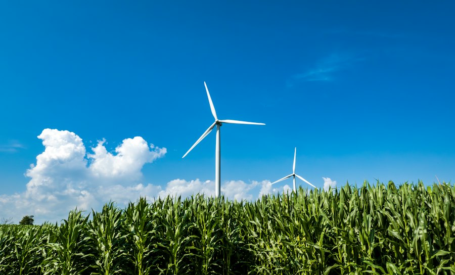 sustainable productivity