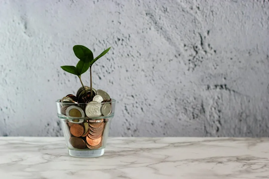Photo small investment business ideas